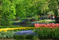Holland med Årets Stora Blomsterparad  Tis-Sön